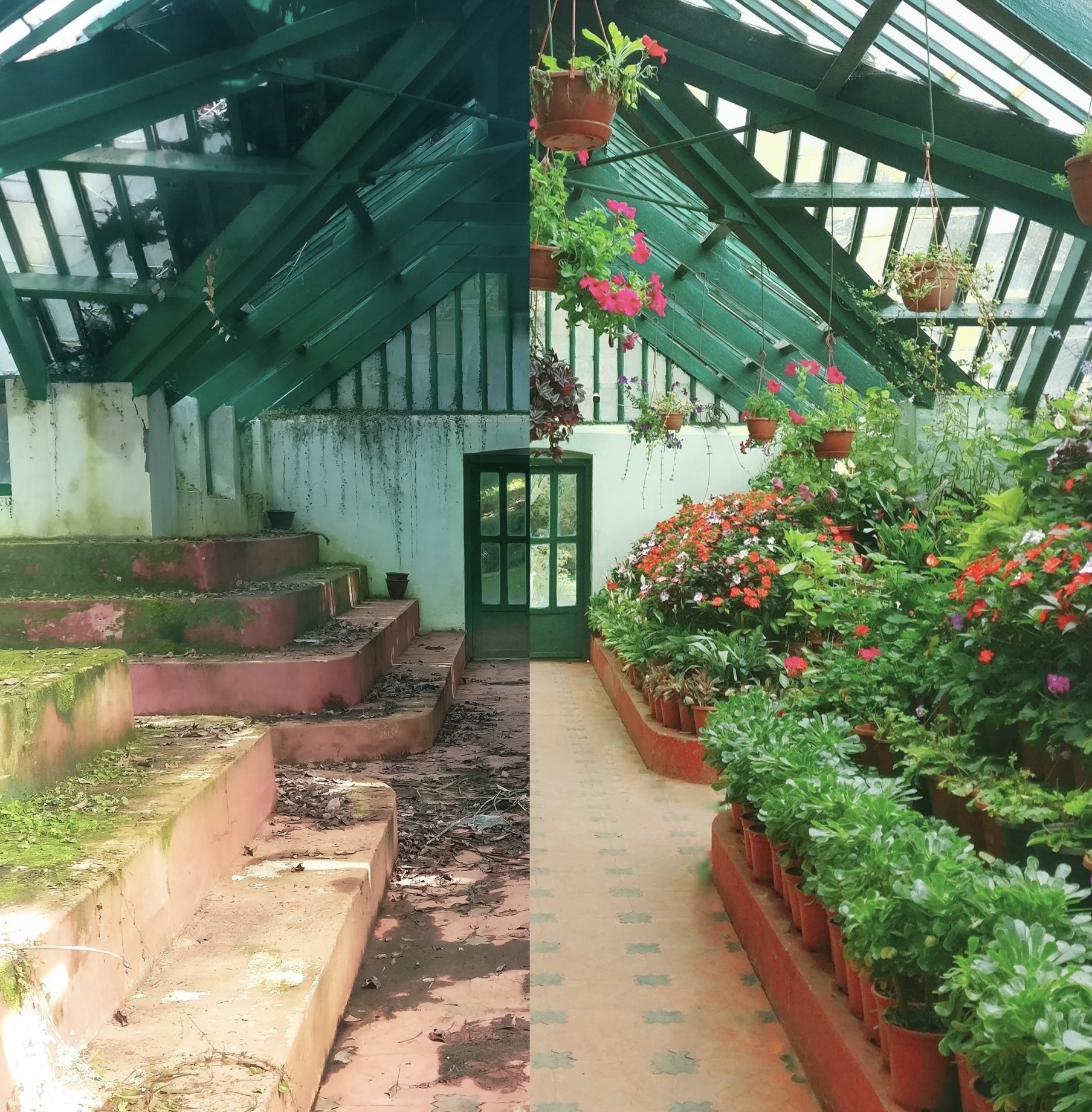 a garden taken one year apart